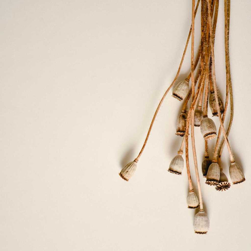 Text Prompt Tips:&nbsp;styles