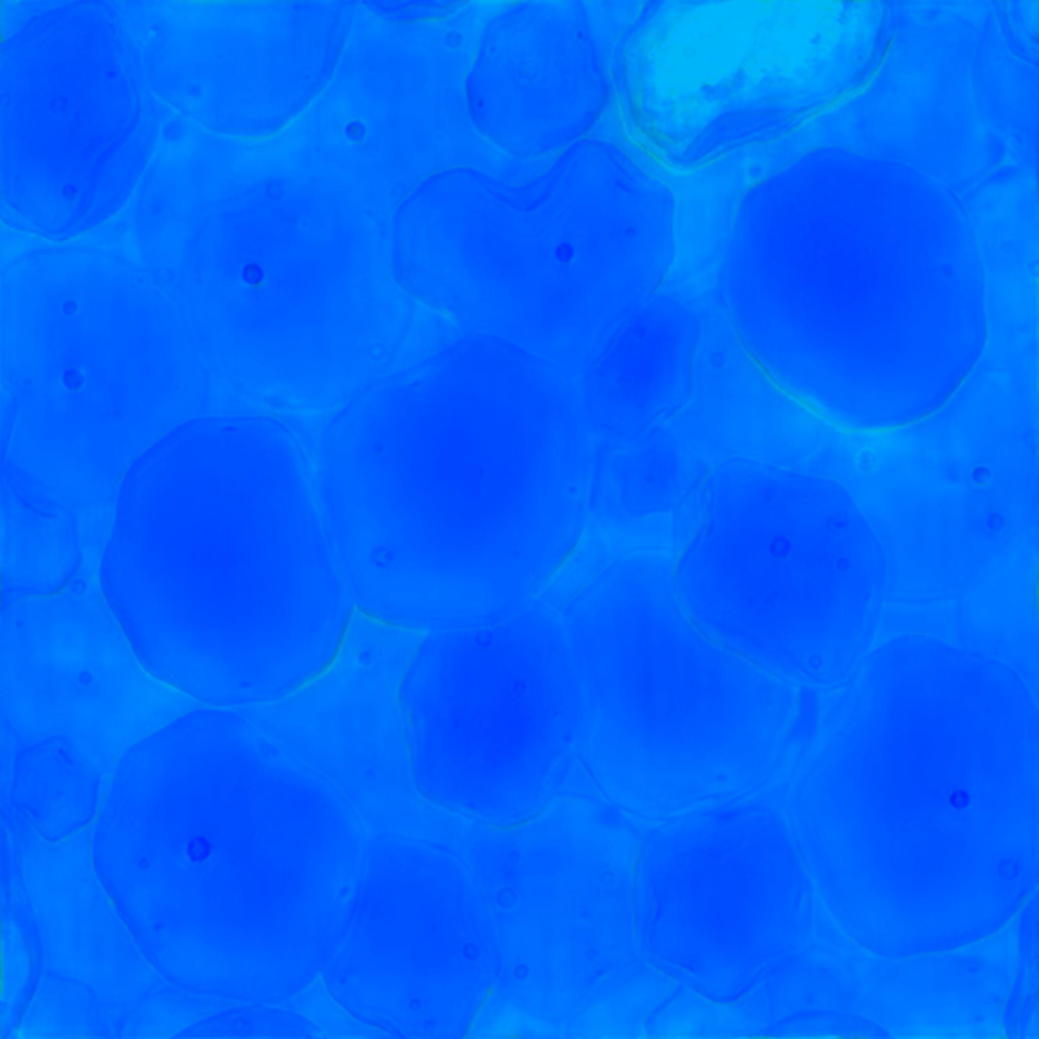 Creating Translucent 3D Materials in Substance Painter with Meta AI ...